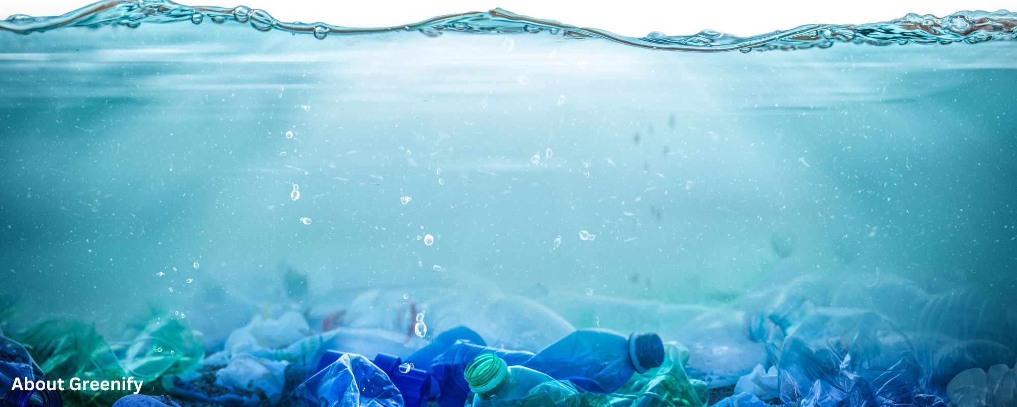 How Can We Save The Ocean From Plastic